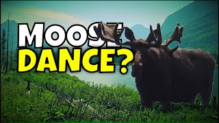 5 days in Glacier National Park EP1 moose does the happy dance [upl. by Runkel197]