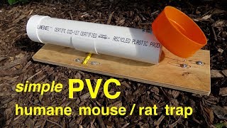 How to make ● a simple PVC HUMANE RATMOUSE TRAP [upl. by Roe]