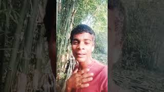 suter Kab Banega comedy funny viralvideo shortvideo attitude trending [upl. by Samalla712]