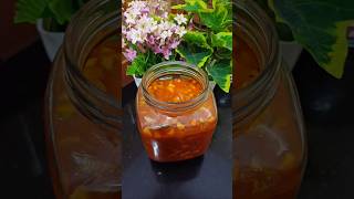 Kadumanga Achar  Kerala Manga Achar  Pickle shortsfeed cooking recipe homemade [upl. by Legnaesoj]