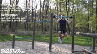 typewriter pull ups bodyweight exercise madbarz exercises [upl. by Meelas]