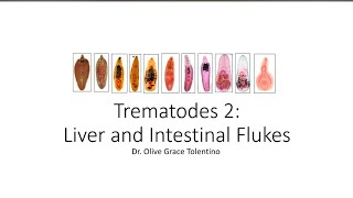 Trematodes 2 Lab  Dr Tolentino [upl. by Welcher815]