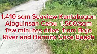 1410 sqm Seaview at Aloguinsan Cebu Philippines 1500sqm negotiable [upl. by Ojeibbob274]