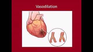 Cardiac Biomarkers [upl. by Ellenid]