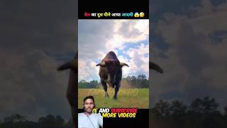 This man running from angry bull 🤣🤣 shorts funny [upl. by Eibob]