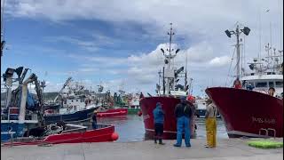 Desde el Puerto de Santoña [upl. by Knutson]