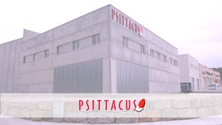 Psittacus Corporate [upl. by Aivata]