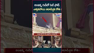 iSmart News  అంజన్న గుడిలో సెల్ ఫోన్ ఎత్తుకపోయి ఆటాడిచ్చిన కోతి   Monkey Cellphone  TV9 [upl. by Christiana825]