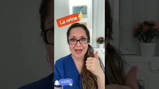 orina diabetes salud [upl. by Jenni878]