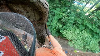 Climbing a comprised pine [upl. by Wager]