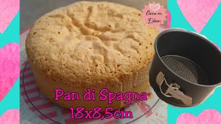 Ricetta del Pan di Spagna alto e soffice 18cm x 85cm La mia versione classica SENZA GLUTINE [upl. by Narda]