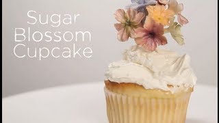 Maggie Austins Sugar Flower Cupcake Topper  Project Cupcake Craftsy Cake Decorating [upl. by Burnley]