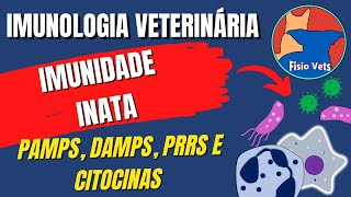 Imunologia veterinária  Imunidade inata inespecífica [upl. by Ahsocin571]