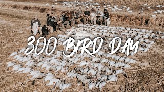 Snow Goose Hunting GIANT RAINOUTS 300 bird day [upl. by Berard]