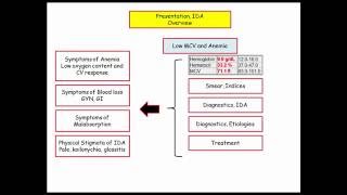 12DaysinMarch Microcytosis Anemia and Iron Homeostasis for USMLE Step One [upl. by Ielak480]