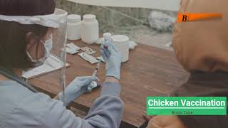 How to Vaccinate Chickens amp Chicks Step by Step Guide for a Healthy Flock chicken [upl. by Sirovaj]