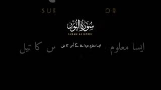 Surah al noorshortvideo youtubeshorts [upl. by Cristine859]