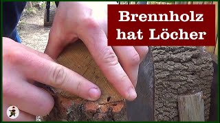 Brennholz hat Löcher was tun [upl. by Leuqim]