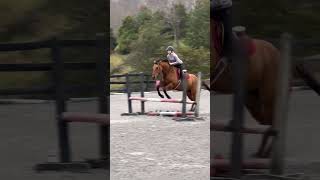 Clip from lesson with Sunday jumpinghorse equestrian newhorse horsemanship equestriantraining [upl. by Anwahsak]