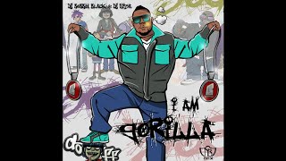 Gorilla Zoe  I Dont Wanna Hurt No More [upl. by Anilos]