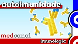 Autoimunidade  IMUNOLOGIA Vídeo 11 [upl. by Noelle409]