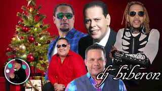 Llegó Navidad  Mix Merengue Navideño 2020  Fernando Villalona Toño Rosario Peña Suazo Y Mas [upl. by Nalod458]