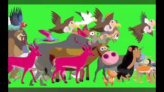 animal stampede green screen fast 8x [upl. by Neelac]