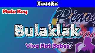 Bulaklak by Viva Hot Babes Karaoke  Male Key [upl. by Magill607]