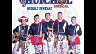 Cumbia Napapauny Huichol Musical 2011 [upl. by Yanrahc]