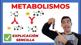 Qué es el METABOLISMO 🧬 explicado CATABOLISMO y ANABOLISMO [upl. by Namaj]