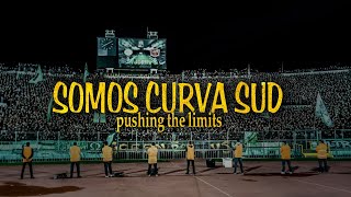 A VIDA É LOUCA Boost your mind with SOMOS CURVA SUD 🥶🗣️🥁 [upl. by Hazlip28]