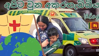 අපිට වුන අකරතැබ්බිය 😢  සිංහල VLOG 35  New Zealand  Sri Lankan  Sinhala vlog [upl. by Vierno]