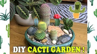 DIY Indoor Mini Cacti Garden [upl. by Aliza]