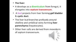 Embryology GIT Part 3 [upl. by Neruat]