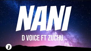 D Voice  Nani ft Zuchu lyrics [upl. by Ymmit]