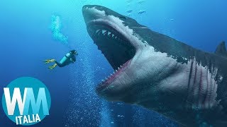 10 CURIOSITÀ PAZZESCHE sul MEGALODONTE [upl. by Kassel47]