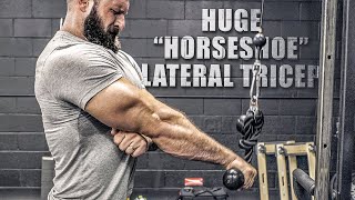 5 “Horseshoe” Tricep Exercises YOU’RE MISSING THESE [upl. by Annam72]