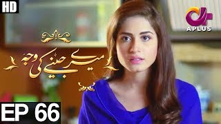 Meray Jeenay Ki Wajah  EP 66  Aplus  Bilal Qureshi Hiba Ali Faria Sheikh  C4I1 [upl. by Nirrej]