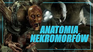 Biologiczne i lovecraftowskie inspiracje Nekromorfów DEAD SPACE LORE PL [upl. by Emelen]