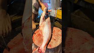 Amazing Cutting Skills  Big Sea Pangas Fish Cuttin‌‌।g Live in Fish2fishcutting Market [upl. by Evelin208]