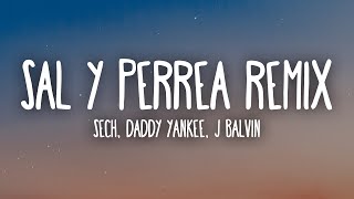 Sech Daddy Yankee J Balvin  Sal y Perrea Remix LetraLyrics [upl. by Gretchen]