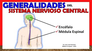 🥇 SISTEMA NERVIOSO CENTRAL SNC  Generalidades  ¡Explicación Sencilla [upl. by Derte]