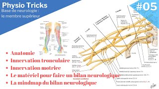 5 minutes pour comprendre la neurologie du membre supérieur et les prérequis du bilan neurologique [upl. by Theobald]