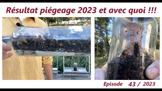 Résultat Piégeage 2023 et avec quoiapiculteurabeilleslesabeillesdefred07 [upl. by Lynad]