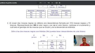 🧪🔺EJERCICIOS de GENÉTICA MENDELIANA RESUELTOS Y EXPLICADOS👩‍🔬 [upl. by Isied]