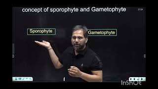 what is sporophyte and gametophyte animationsankalpbharat [upl. by Rotsen]