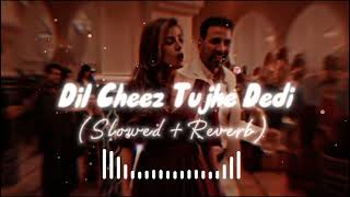 Dil Cheez Tujhe Dedi  slowed  reverb [upl. by Puttergill]