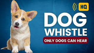 Dog Whistle 🐕 High Pitch Sound 🐕 Dog Whistle That Only Dogs Can Hear [upl. by Jurkoic232]