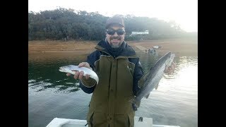 Trout fishing at Lake Eildon  Pt 2 of Lure Review [upl. by Kind]