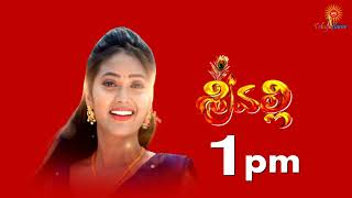 Sri Valli New Telugu TV Serial Timings Revealed  Non Prime Time Serial  Gnapika Ent  ETV telugu [upl. by Caspar263]